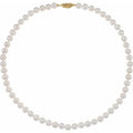 Cultured White Akoya Pearl Necklace in 14k yellow gold