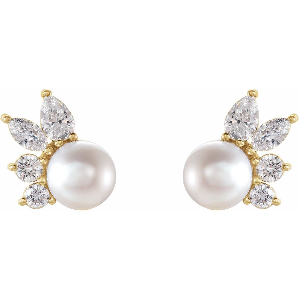 Cultured White Akoya Pearl & 1/2 CTW Natural Diamond Earrings in 14k yellow gold