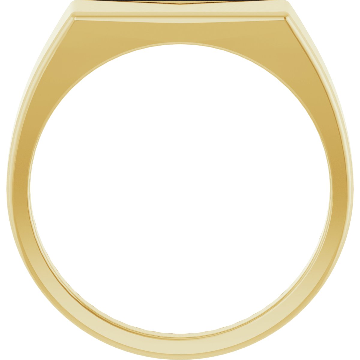15x7 mm Rectangle Signet Ring in 14k yellow gold