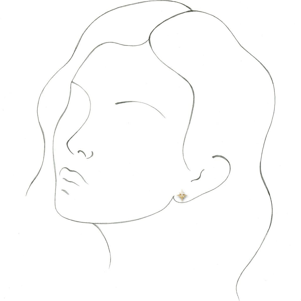 .03 CTW Natural Diamond Star Earrings in 14k yellow gold