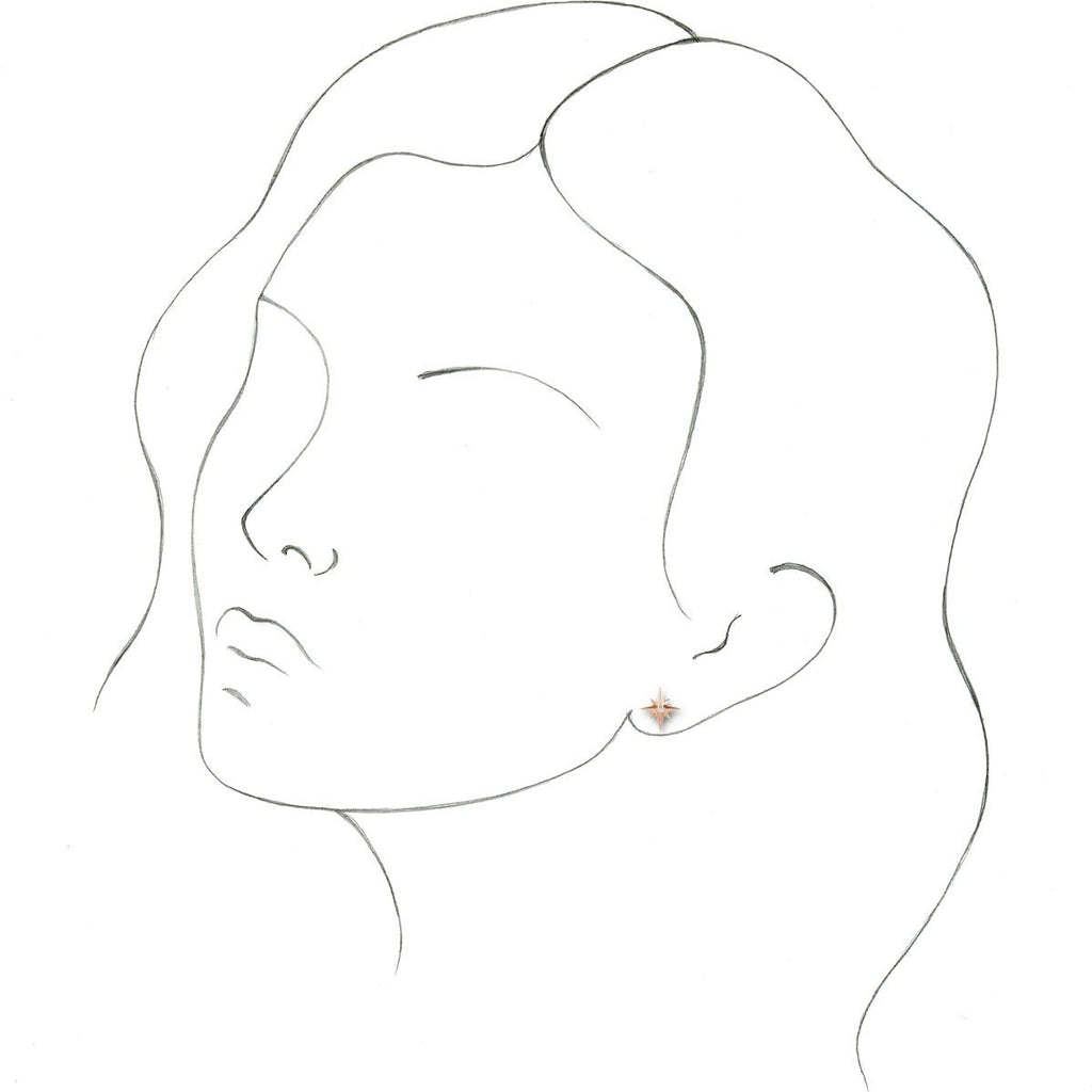 .03 CTW Natural Diamond Star Earrings in 14k rose gold