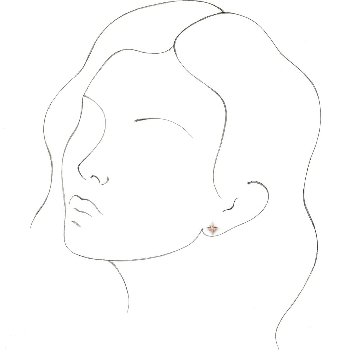 .03 CTW Natural Diamond Star Earrings in 14k rose gold