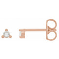 .04 CTW Rose-Cut Natural Diamond Earrings in 14k rose gold